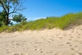 Lake Michigan sand dune