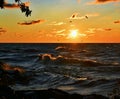 Lake Michigan Sunrise Photography Royalty Free Stock Photo