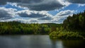 A lake in the middle of a dense forest