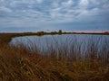 Lake in the middle of flood meadows