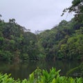 Lake in the middle of the forest, postcard image, calm waters with a light rain, lake region of Santa Catarina State, Brazil