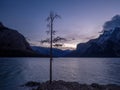 Lake Minnewanka at sunrise