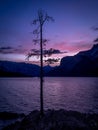 Lake Minnewanka at sunrise