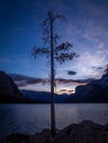 Lake Minnewanka at sunrise