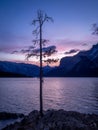 Lake Minnewanka at sunrise