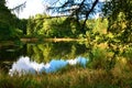 Lake mirror