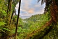 Lake Moeraki located in New Zealand