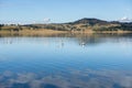 Lake Moogerah in Queensland during the day