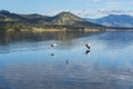 Lake Moogerah in Queensland during the day Royalty Free Stock Photo