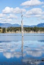 Lake Moogerah in Queensland during the day