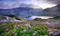 Lake on mountain and flowers Royalty Free Stock Photo