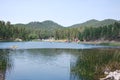 Lake in Mountain Landscape in the Black Hills, South Dakota Royalty Free Stock Photo