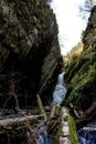 Lake in the mountains	covered with green trees Royalty Free Stock Photo