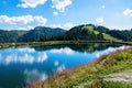 Lake with mountains and flowers on the shore in the Austrian Alps