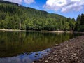 Lake in the mountains. Lake near the forest. Coniferous forest. Forest. Royalty Free Stock Photo