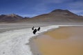 Lake between the mountains, with pink flamingo. Off-road tour on the salt flat Salar de Uyuni in Bolivia