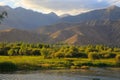 Lake in the mountains. Quiet bay in the greenery at sunset. Place for rest. Kyrgyzstan, Lake Issyk-Kul Royalty Free Stock Photo