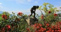 Woman Statuary With Blooming Flowers