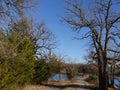 Lake Murray framed by trees Royalty Free Stock Photo