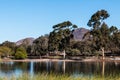 Lake Murray Trees with Cowles Mountain in San Diego Royalty Free Stock Photo