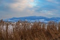Lake Musov with the Church of St. Linharta in the Czech Republic in Europe. There is a reed around. Winter landscape and Palava