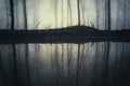 Lake in mysterious dark forest with fog Royalty Free Stock Photo