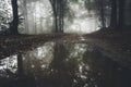 Lake in mysterious forest with fog Royalty Free Stock Photo