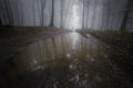 Lake in mysterious forest with fog and man standing near water Royalty Free Stock Photo