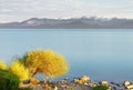 Lake Nahuel Huapi, San Carlos de Bariloche, Patagonia Royalty Free Stock Photo