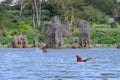 African fishermen set up fishing nets on Lake Naivasha, Kenya