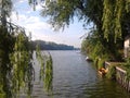 Lake and nature of Donkmeer, Berlare, West-Vlaanderen Royalty Free Stock Photo