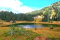 Lake and nature during fall at Mount Rainier park , Washington