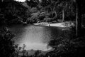 Lake, Nature, Water, Monochrome, trees, landscape, BlackandWhite