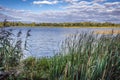 Lake near abandoned recreation base in Chernobyl zone Royalty Free Stock Photo