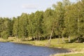 Lake near forest Royalty Free Stock Photo