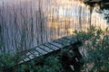 Lake near Juuma Finland sunset over water and wooden pathway