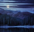 Lake near the mountain in pine forest at night Royalty Free Stock Photo