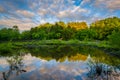 Lake Needwood at sunset, at Upper Rock Creek Park in Derwood, Maryland Royalty Free Stock Photo