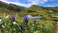 The lake is wild. beautiful view of the mountains and the lake. Lake Nesamovite Royalty Free Stock Photo