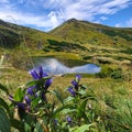 The lake is wild. beautiful view of the mountains and the lake. Lake Nesamovite Royalty Free Stock Photo