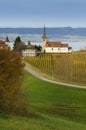 Lake Neuchatel Royalty Free Stock Photo