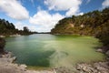 Lake Ngakoro Royalty Free Stock Photo