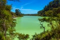 Lake Ngakoro Rotorua New Zealand Royalty Free Stock Photo