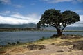 Lake in Ngorongoro Crater, Tanzania Royalty Free Stock Photo