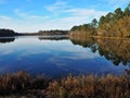 Lake Norton at Little Pee Dee State Park