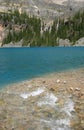 Lake O'Hara with Creek and Falls Royalty Free Stock Photo