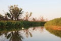 Lake oasis. The reeds and grasslands landscape