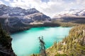 Lake Ohara, yoho Royalty Free Stock Photo