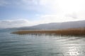 Lake Ohrid Royalty Free Stock Photo