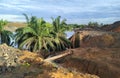 lake in the Oil palm plantation area